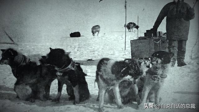 南极：地心人、血瀑布……随着今年科考深入南极却变得越来越神秘