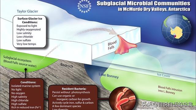 南极：地心人、血瀑布……随着今年科考深入南极却变得越来越神秘