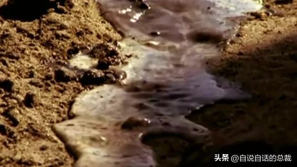 狮身人面像之谜：1990年，一位地质博士来到埃及，他揭开黑幕一角