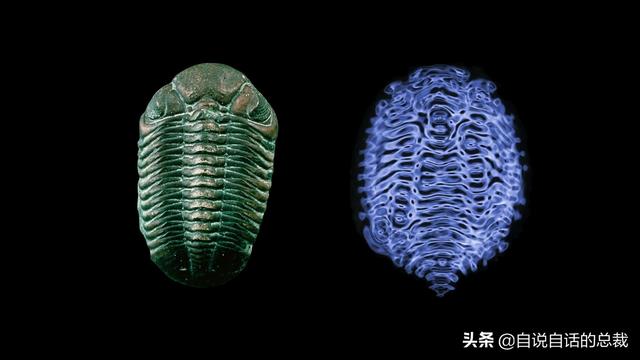 这个男人测量过金字塔，并暗示了他发现的秘密 | 432Hz