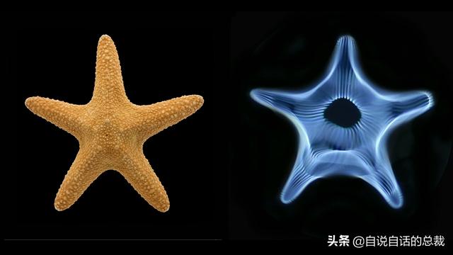 这个男人测量过金字塔，并暗示了他发现的秘密 | 432Hz