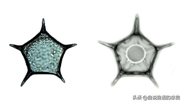 这个男人测量过金字塔，并暗示了他发现的秘密 | 432Hz