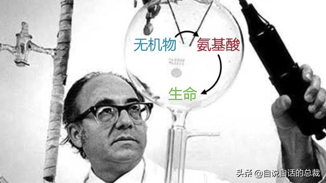 这个男人测量过金字塔，并暗示了他发现的秘密 | 432Hz