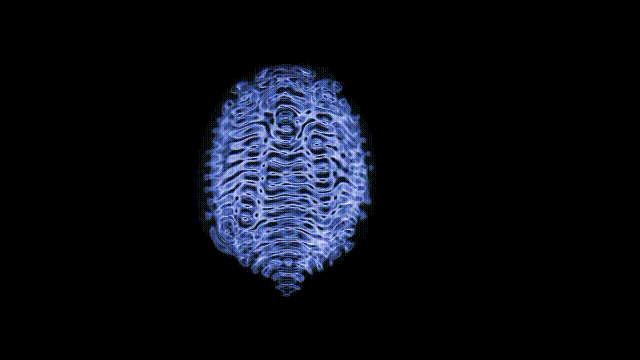 这个男人测量过金字塔，并暗示了他发现的秘密 | 432Hz