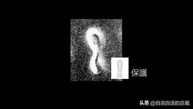 这个男人测量过金字塔，并暗示了他发现的秘密 | 432Hz