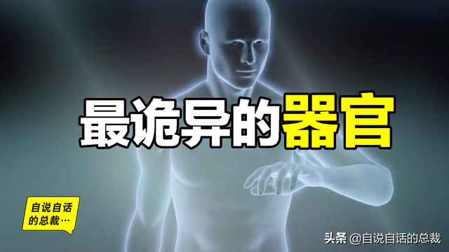 最诡异的器官-皮肤，我们都被这个器官封装在超能力机甲当中