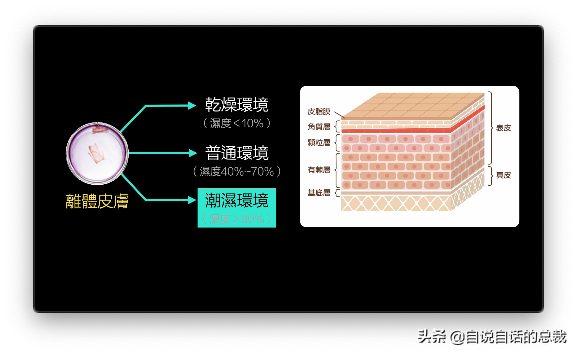 最诡异的器官-皮肤，我们都被这个器官封装在超能力机甲当中