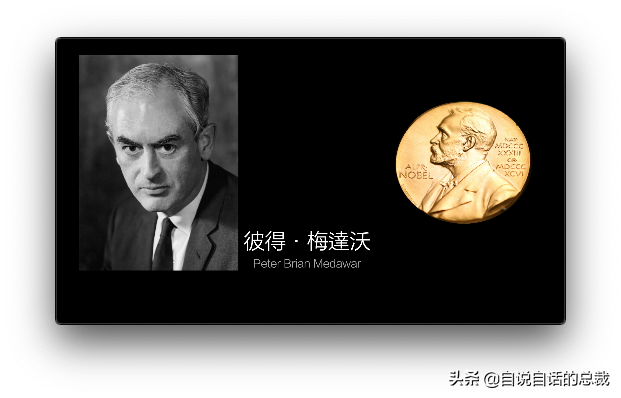 最诡异的器官-皮肤，我们都被这个器官封装在超能力机甲当中