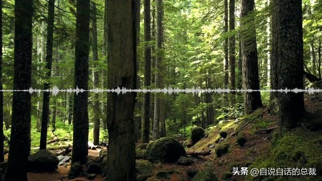 美军秘密研发了一项黑科技，竟然意外发现了道家修仙的真相？