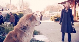 看完湿透你纸巾的人与动物体裁的8部电影，观看前提早准备好纸巾！