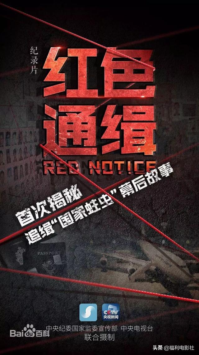 红色通缉（2019）逃亡美国加拿大原来这么苦逼，这群红通逃犯贪污那么多钱有啥用呢