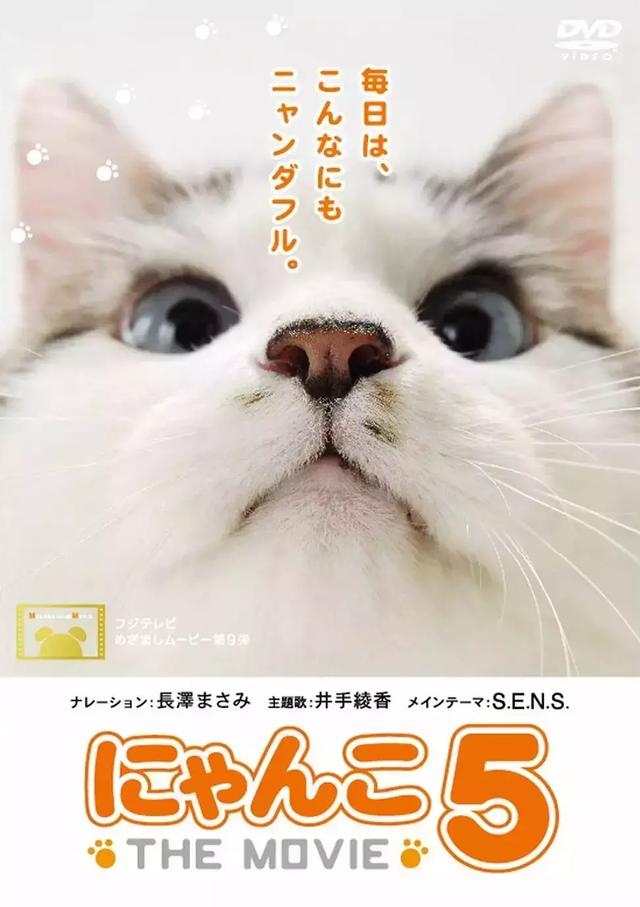 《猫咪物语》豆瓣9.0，风靡岛国十年，国民女神集体为它沦陷